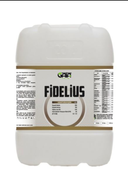FİDELİUS